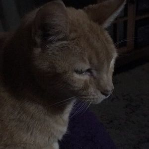 Meet your Posher, Suzanne